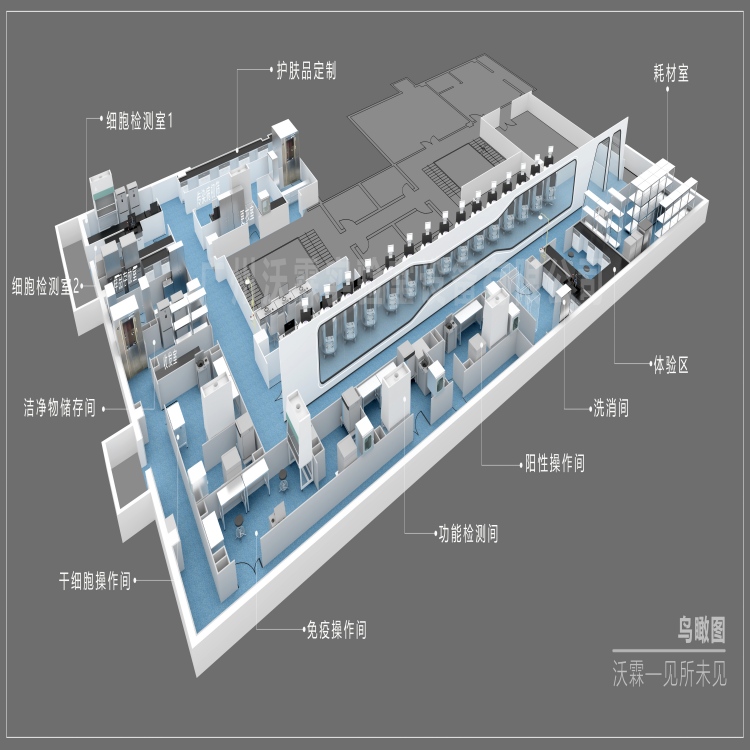 干細(xì)胞實(shí)驗(yàn)室裝修